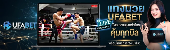 แทงมวย UFABET